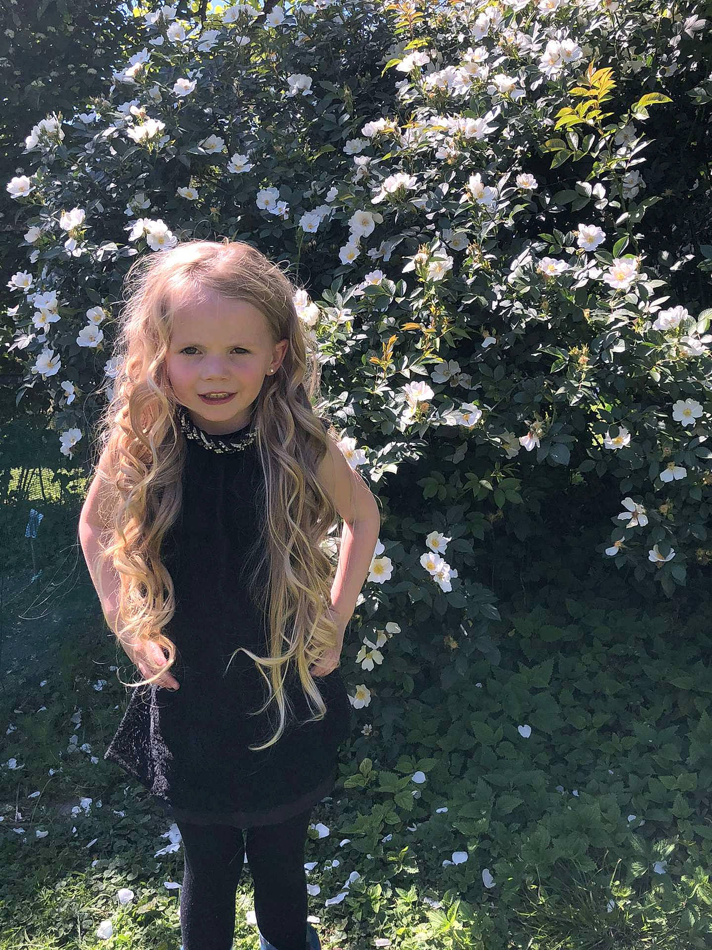 Shana a rejoint le concours — aidez-le/la à gagner de superbes lots ! beauty, branch, eye, fawn, flash_photography, grass, hair, hairstyle, happy, head, joy, knee, long_hair, people_in_nature, person, standing, sunlight, thigh, twig, vegetation