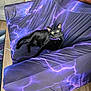 cat, black_cat, couch, blanket, purple, lightning_pattern, indoor, pet, feline, relaxed, green_eyes, collar, wood_floor, living_room, furniture, household, domestic_animal, cozy, resting, alert
