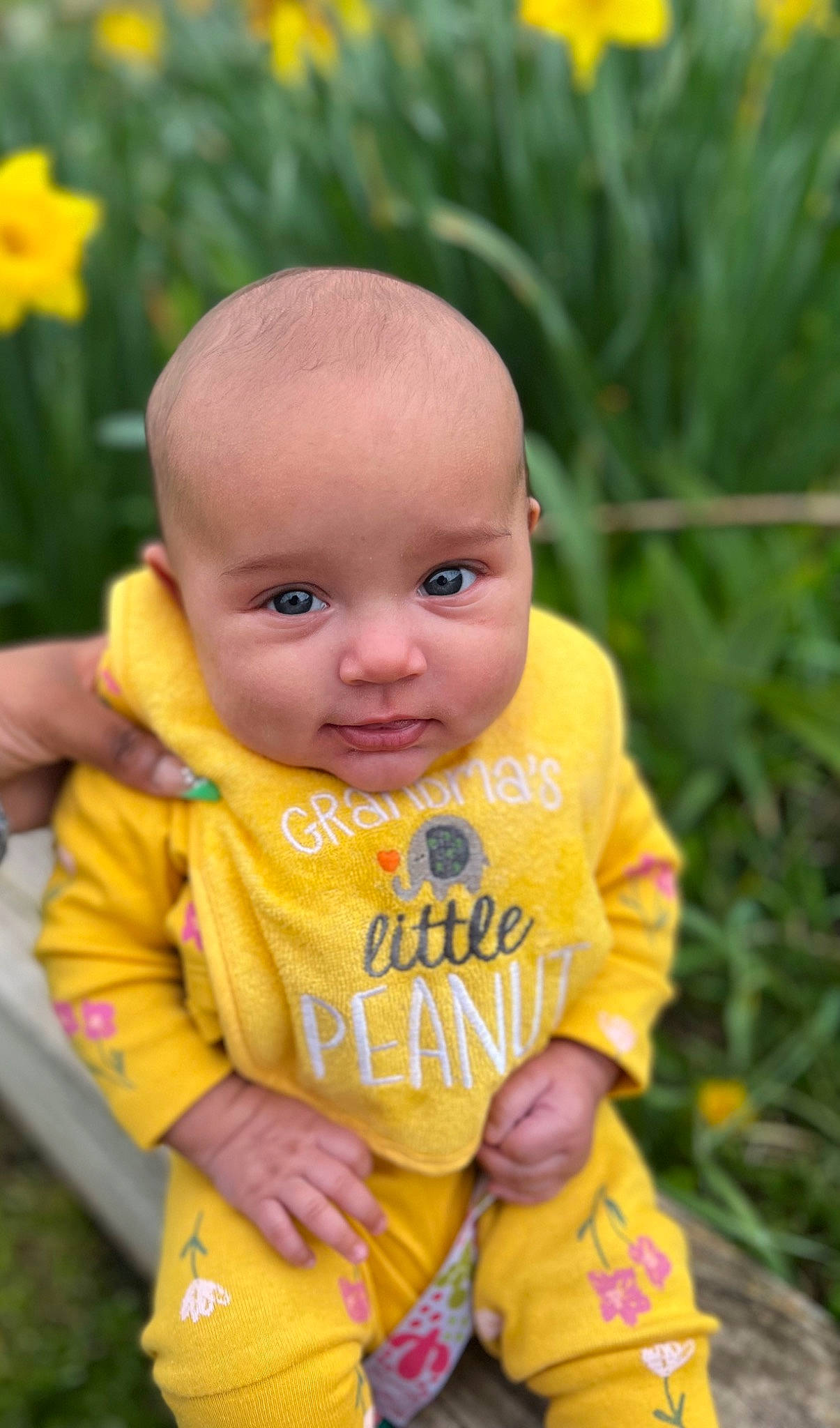 Rosalinda is registered to the contest to win money with this photo: baby, baby_toddler_clothing, cheek, chin, eye, face, facial_expression, grass, happy, head, leaf, leisure, lip, nose, people_in_nature, person, plant, skin, sleeve, toddler