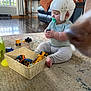 baby, helmet, pacifier, toy, toy_vehicle, basket, rug, wood_floor, dog_nose, living_room, couch, blanket, window, table, plant, photobomb, indoor, child, curious, playtime