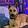 Scooby Doo