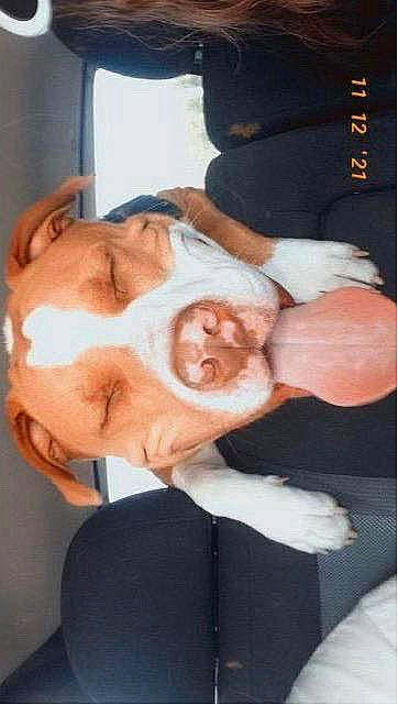 Odin