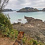 dog, leash, rocky_shore, sea, water, island, cloudy_sky, nature, outdoor, coast, greenery, bushes, path, animal, canine, scenic, landscape, view, daytime, quiet