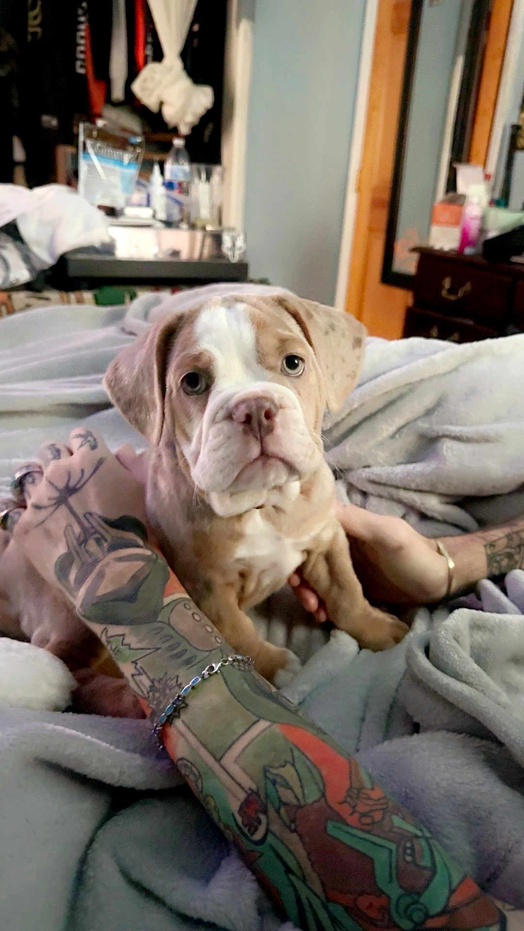 Lilo