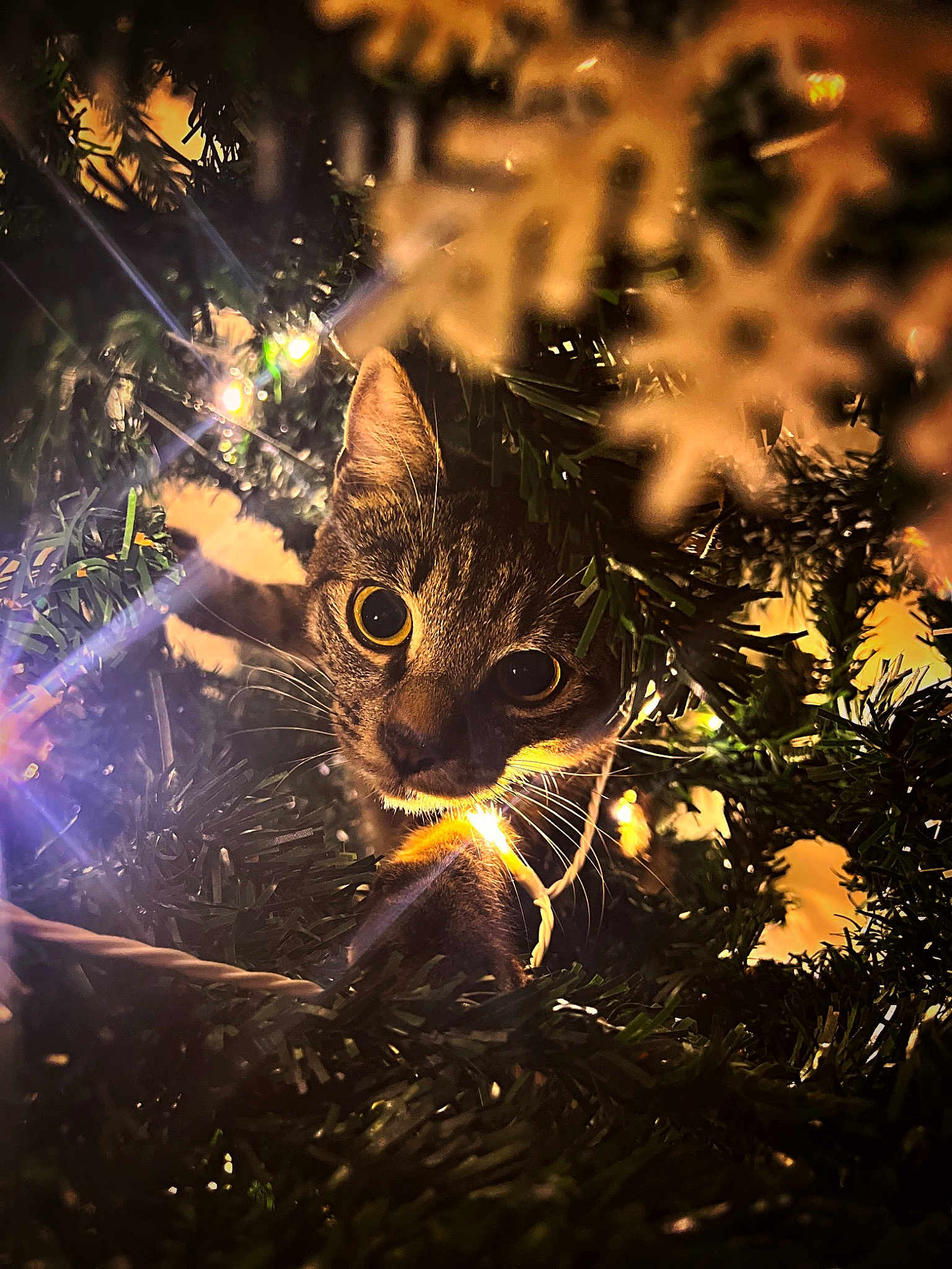 Loki