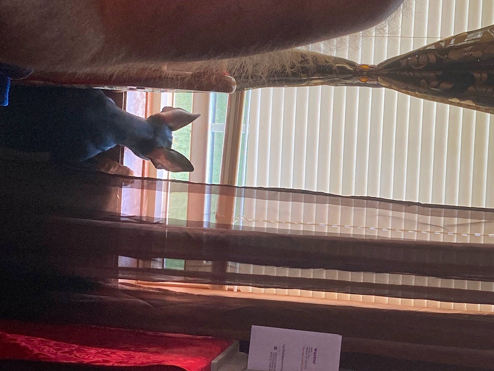 Peanut joined the competition — help win amazing prizes! ceiling, daylighting, event, flooring, glass, hardwood, magenta, metal, reflection, room, shade, shadow, stairs, tints_and_shades, window, window_covering, window_treatment, wood