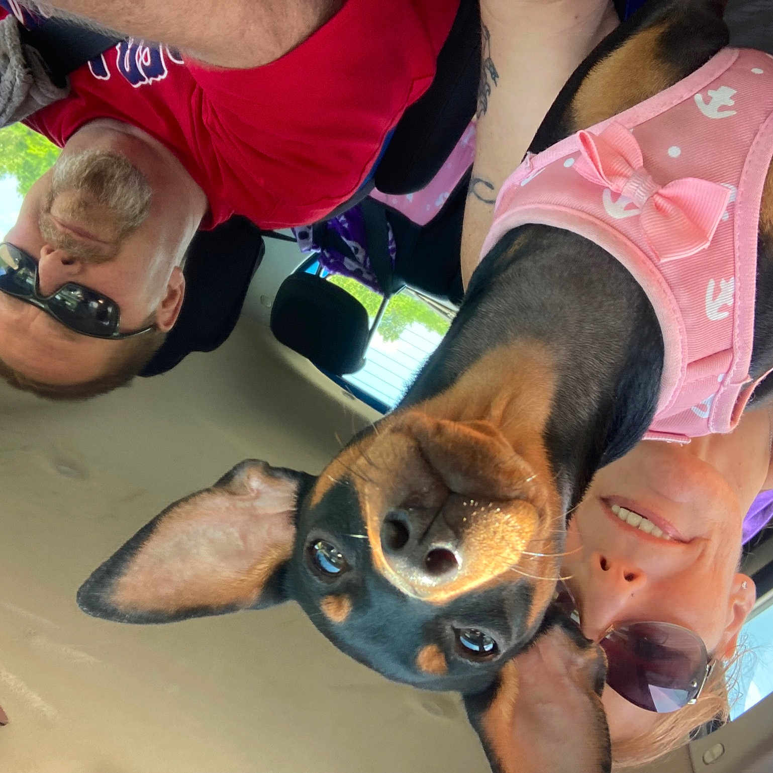Peanut joined the competition — help win amazing prizes! child, eyelash, eyewear, fawn, fun, goggles, leisure, mouth, personal_protective_equipment, recreation, sunglasses, t_shirt, thigh, tree, vacation, visual_arts