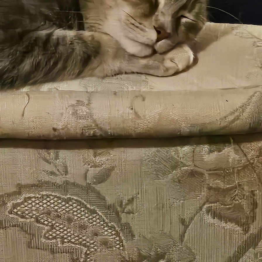 Smokey Josephine is registered to the contest to win money with this photo: abyssinian, animal, architecture, armchair, building, cat, chair, couch, cushion, furniture, homedecor, indoors, kitten, linen, livingroom, manx, person, pet, room, sleeping