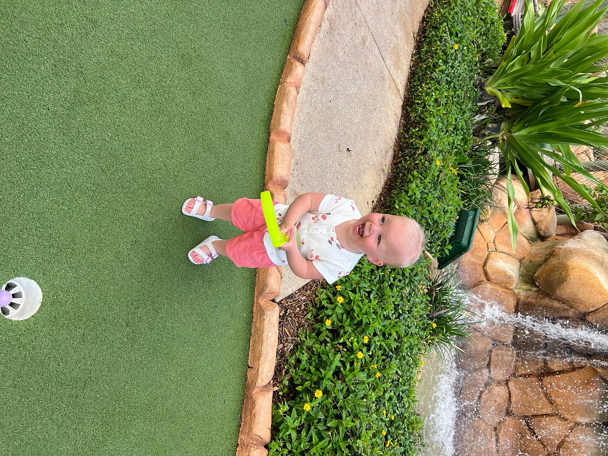 Rory joined the competition — help win amazing prizes! arecales, floral_design, flower, flower_arranging, flowerpot, garden, grass, grass_family, houseplant, landscape, landscaping, lawn_ornament, leisure, organism, people_in_nature, person, plant, shrub, terrestrial_plant, toddler