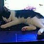 Mandy is registered to the contest to win money with this photo: