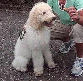 Bailey