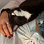 Milady a rejoint le concours — aidez-le/la à gagner de superbes lots ! accessories, animal, bodypart, cat, clothing, couch, diamond, finger, furniture, gemstone, hand, jewelry, kitten, pants, person, pet, ring, skin, sleeping, wrist