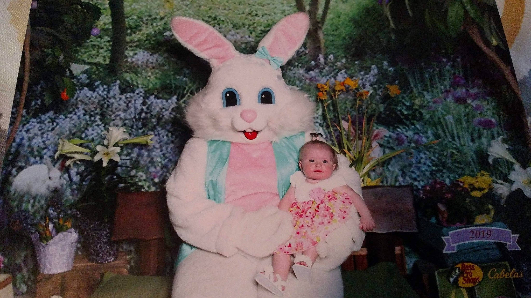 Aliliana joined the competition — help win amazing prizes! domestic_rabbit, easter, easter_bunny, holiday, person, pink, rabbit, rabbits_and_hares