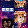 Lucky is registered to the contest to win money with this photo: app_icons, birthday_hat, child, clock_widget, corgi, cosmic_background, cute, discord_icon, dog, face, gallery_app, indoor, kiss, pet, photo_collage, purple, smartphone_screen, smile, whatsapp_icon, woman