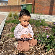 Daniyal is registered to the contest to win money with this photo: brown_pants, casual_clothing, child, curious, daylight, dirt, flowers, garden, greenery, kneeling, nature, outdoor, plants, portrait, purple_flowers, rock, striped_shirt, sunlight, toddler, young_child