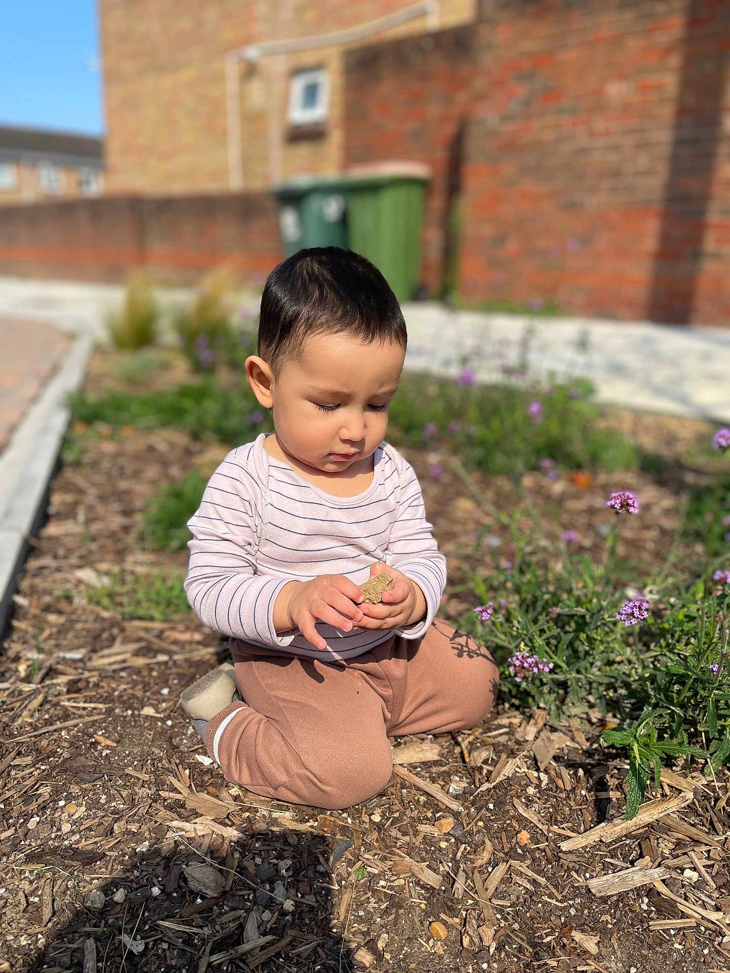 Daniyal
