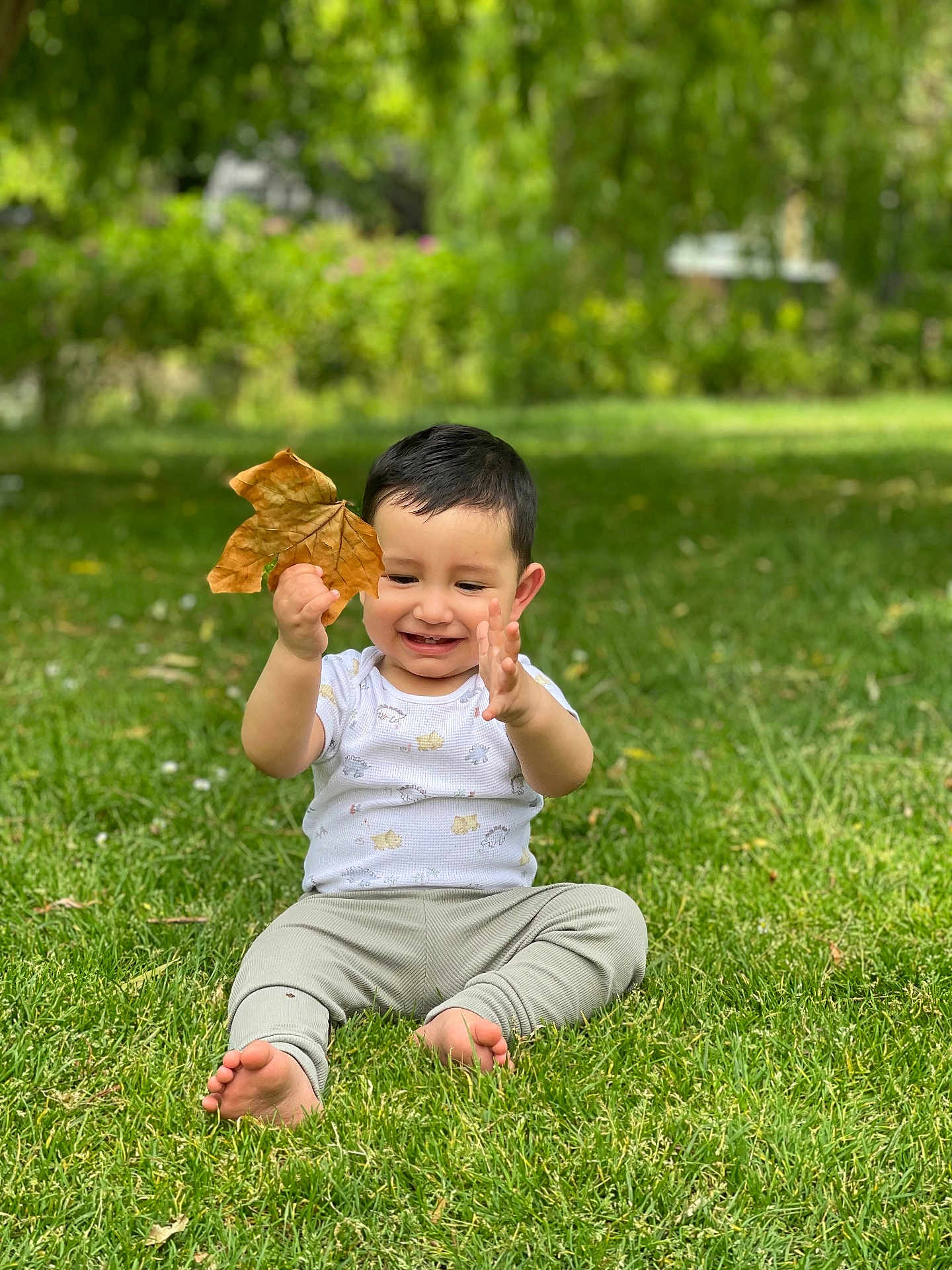 Daniyal joined the competition — help win amazing prizes! child, toddler, baby, leaf, grass, park, outdoor, sitting, smiling, barefoot, onesie, pants, portrait, nature, tree, green, play, hand, happy, blurred_background