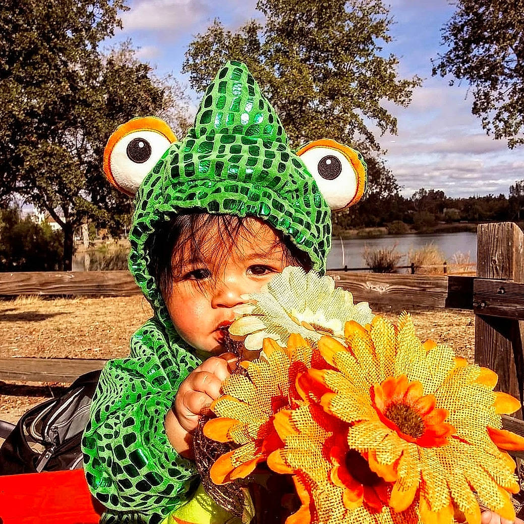 Kainoa is registered to the contest to win money with this photo: artificial_flower, asterales, baby, bonnet, bouquet, costume_accessory, costume_hat, creative_arts, cut_flowers, daisy_family, floral_design, headgear, person, petal, sunflower, tree, winter