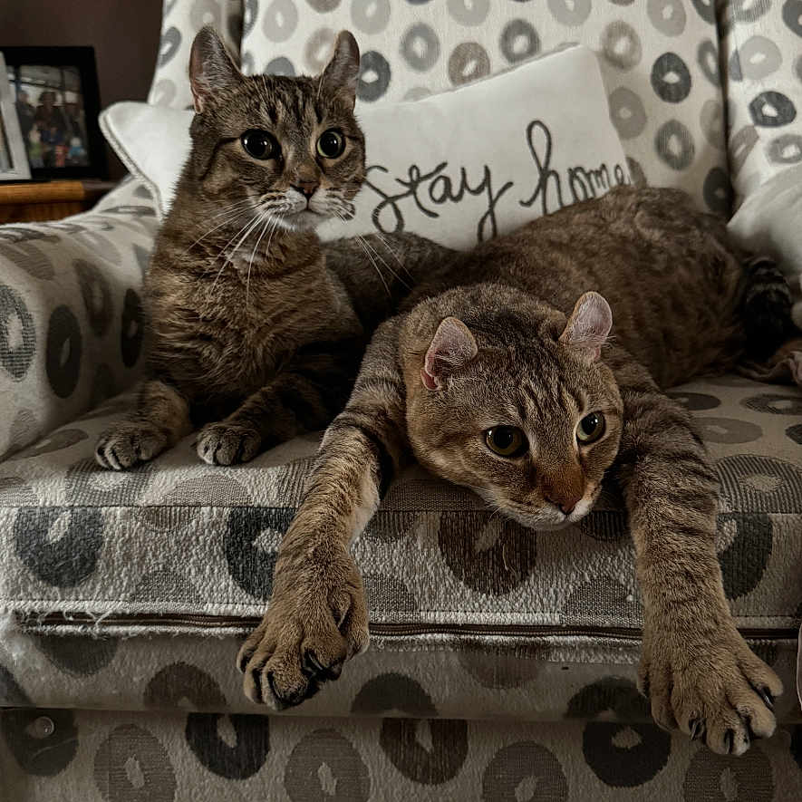 Belle And Leo