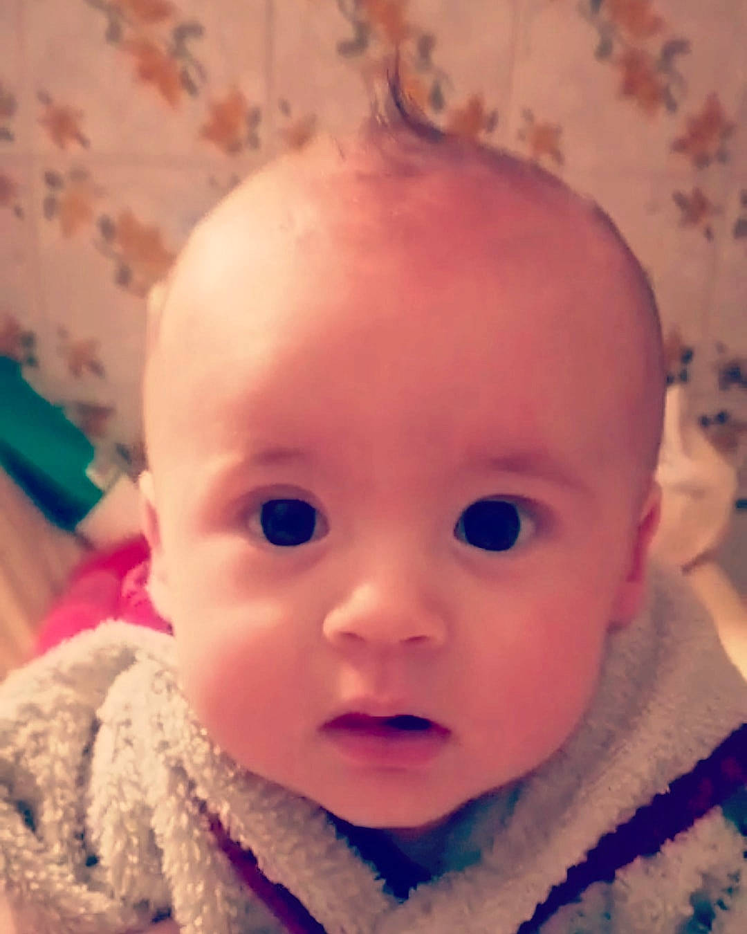 Léo participe au concours pour gagner de l'argent avec cette photo : baby, cheek, child, chin, close_up, ear, eye, eyebrow, face, forehead, hair, head, iris, lip, mouth, nose, organ, person, skin, sky