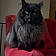 Onyx
