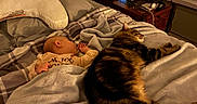 Carl is registered to the contest to win money with this photo: baby, cat, bed, blanket, sleeping, tabby_cat, indoor, nighttime, pillow, furniture, bedroom, cozy, child, pet, rest, soft_lighting, nightstand, alarm_clock, fan, relaxation