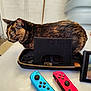 Corail a rejoint le concours — aidez-le/la à gagner de superbes lots ! animal, case, cat, close_up, colorful, console, controller, cute, device, electronics, feline, gaming, indoor, nintendo_switch, pet, play, resting, table, technology, tortoiseshell