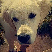 Djypsi participe au concours pour gagner de l'argent avec cette photo :