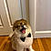 Milo