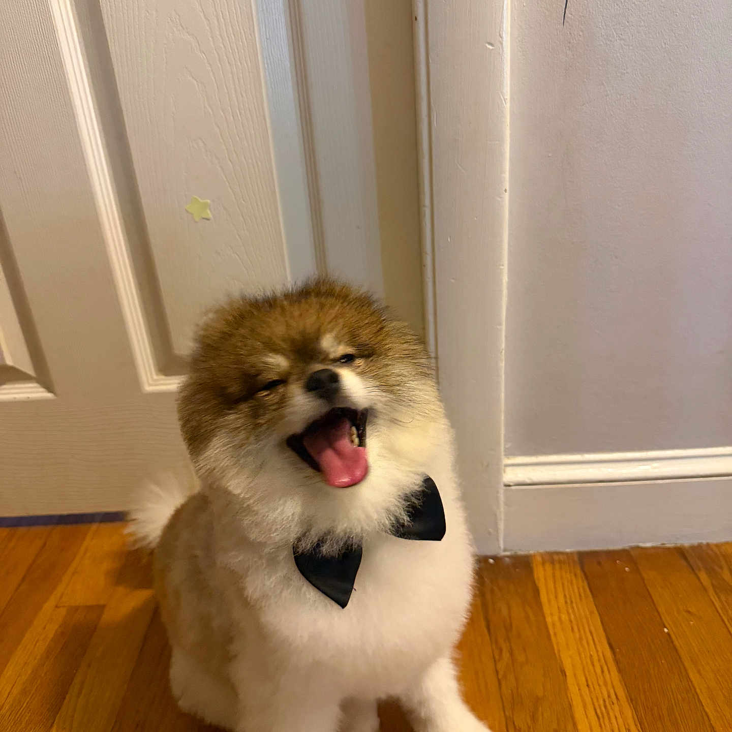 Milo