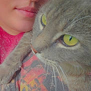 Fur-Gus joined the competition — help win amazing prizes! animal, cat, close_up, colorful, cozy, face, friendly, fur, human, indoor, intimate, person, pet, portrait, shirt, snuggling, soft_lighting, tabby_cat, whiskers, yellow_eyes