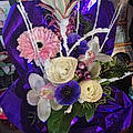 Marthe C.