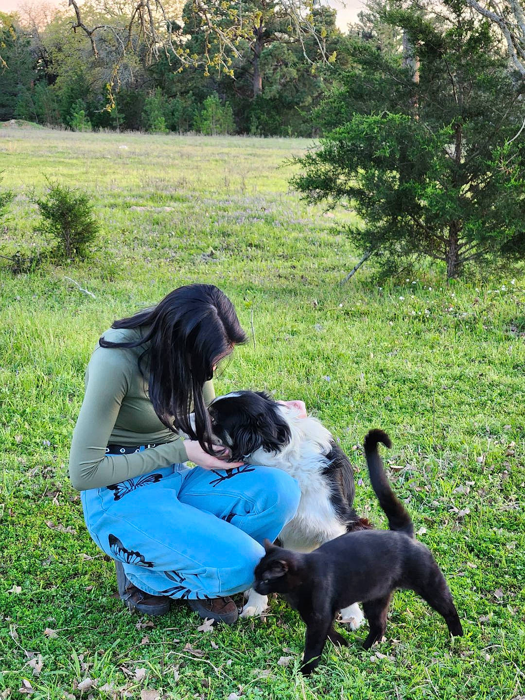 Hope joined the competition — help win amazing prizes! botany, carnivore, cat, companion_dog, dog, dog_breed, felidae, fur, grass, grassland, landscape, lawn, leisure, pasture, plant, sitting, sporting_group, sunglasses, tail, tree