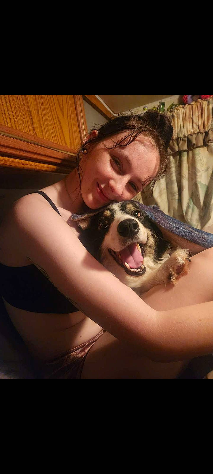 Hope joined the competition — help win amazing prizes! carnivore, comfort, companion_dog, curtain, dog, dog_breed, fang, fawn, flash_photography, fun, fur, gesture, happy, interaction, jaw, laugh, mouth, smile, sporting_group, tooth