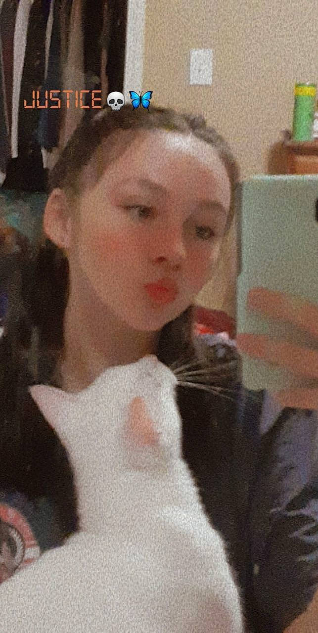 Simba joined the competition — help win amazing prizes! bridal_accessory, bridal_veil, cat, dress, ear, earrings, eyebrow, eyelash, fashion_design, felidae, hairstyle, headpiece, jewellery, lip, long_hair, neck, necklace, nose, tiara, wedding_dress