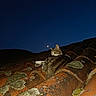 cat, animal, pet, roof, night, moon, sky, tiles, lichen, outdoor, sleeping, resting, feline, nature, dark, quiet, serene, mammal, texture, evening