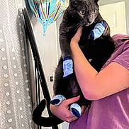 Baba is registered to the contest to win money with this photo: cat, black_cat, birthday, balloon, birthday_balloon, blue_socks, pet, animal, held, person, indoor, portrait, celebration, party, purple_shirt, curtain, door, home, funny, costume