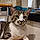Titou