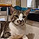 Titou