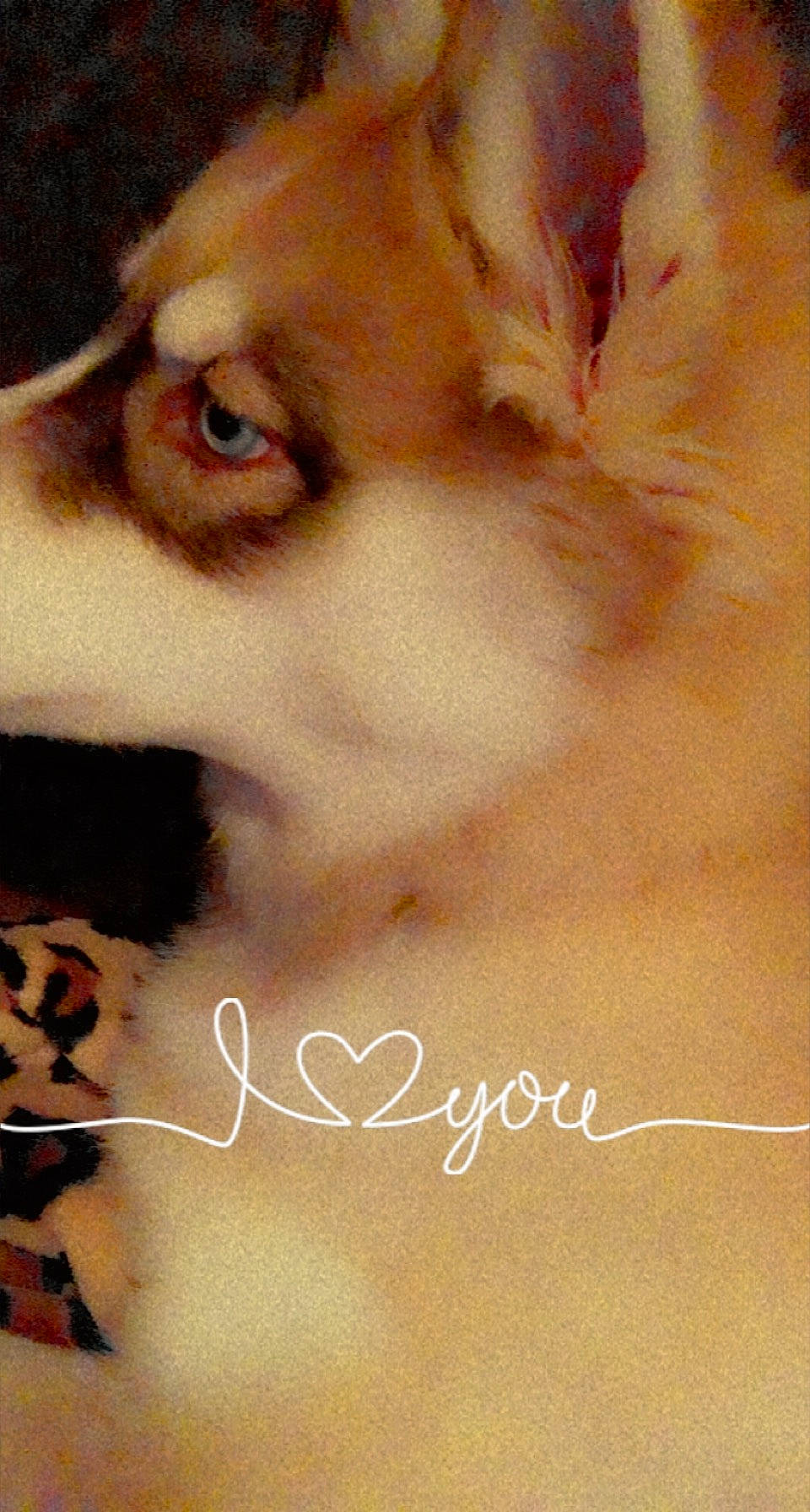 Zeta is registered to the contest to win money with this photo: canidae, carnivore, companion_dog, dog, dog_breed, ear, eyelash, fawn, font, fur, happy, head, jaw, liver, paw, photo_caption, selfie, snout, sporting_group, whiskers