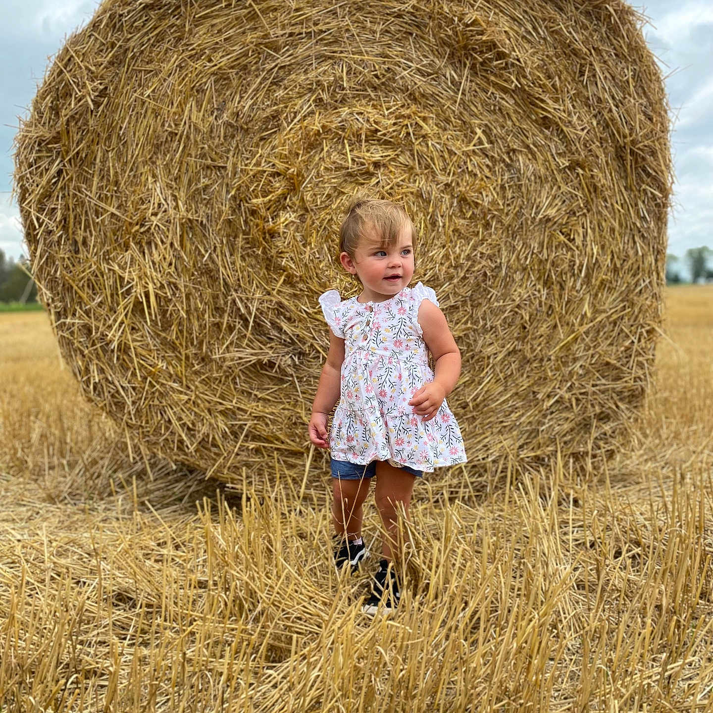 Amelia is registered to the contest to win money with this photo: blonde, child, clothing, countryside, face, female, girl, grass, hair, head, nature, outdoors, person, photography, plant, portrait, pushing, shorts, sitting, straw