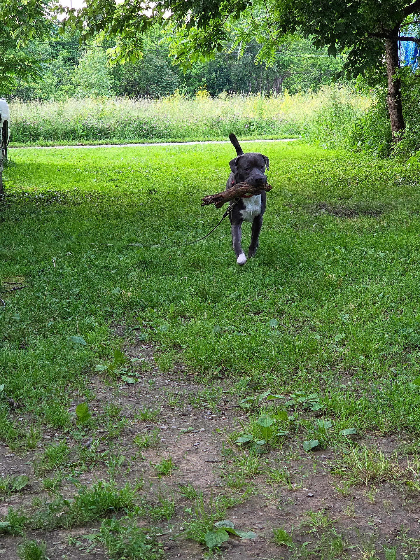 Rocket