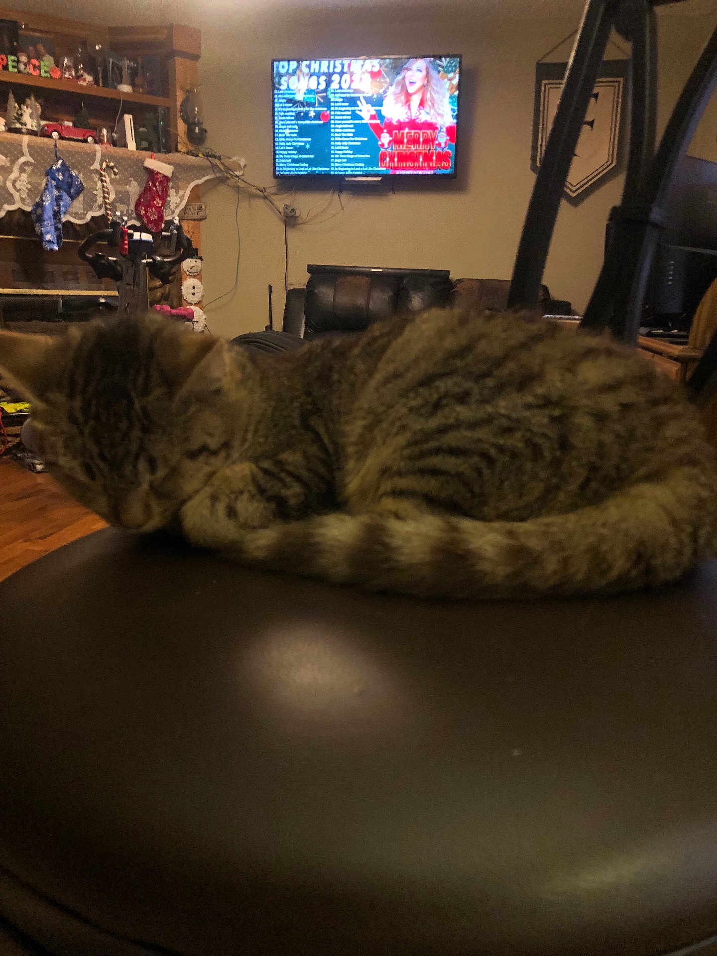 Cocoa