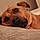 Maddy
