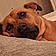 Maddy
