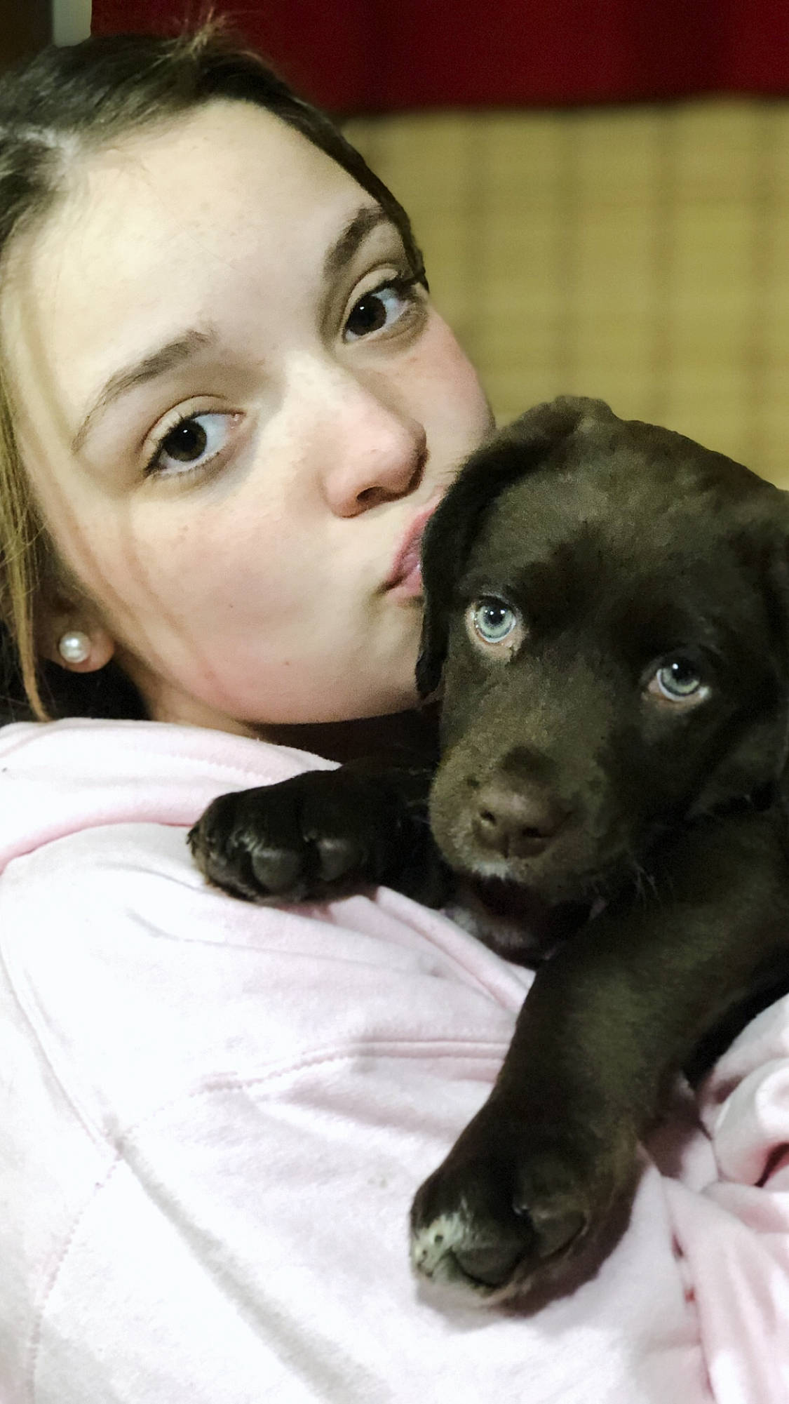 Ollie is registered to the contest to win money with this photo: borador, canidae, carnivore, cheek, companion_dog, dog, dog_breed, ear, eyelash, fur, gesture, guard_dog, happy, jaw, nose, retriever, snout, sporting_group, whiskers, working_animal