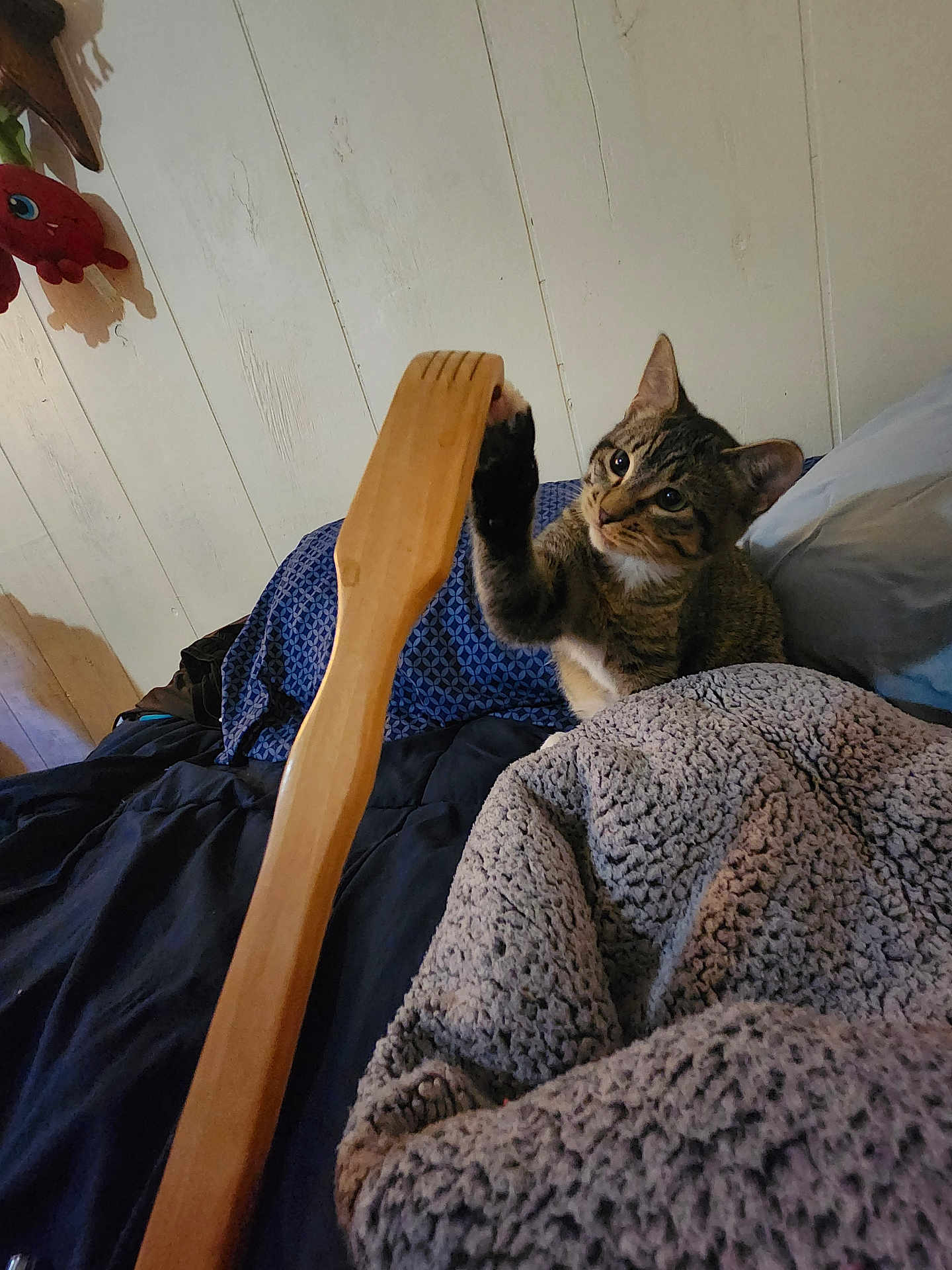 Marble joined the competition — help win amazing prizes! cat, tabby_cat, paw, wooden_object, back_scratchers, bed, blanket, pillow, plush_toy, indoor, furniture, curious, pet, animal, cozy, wall, soft_lighting, texture, resting, comfort