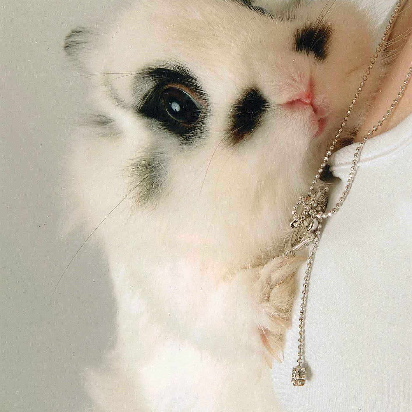 Djaz a rejoint le concours — aidez-le/la à gagner de superbes lots !