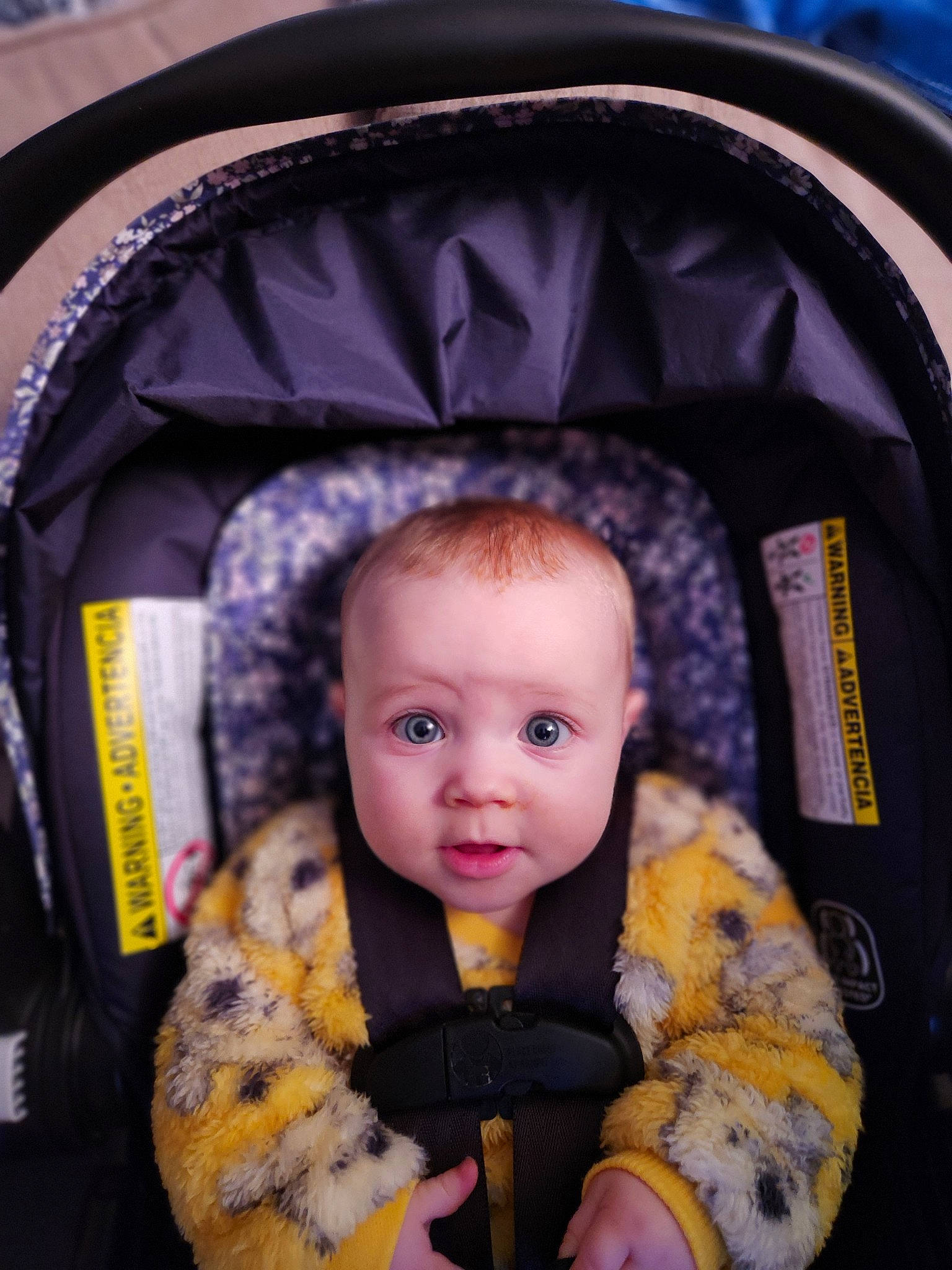 Kinsley is registered to the contest to win money with this photo: baby, baby_carriage, beauty, cheek, child, chin, comfort, cool, eye, eyebrow, flash_photography, fun, hairstyle, human_body, iris, nose, person, plant, smile, snapshot