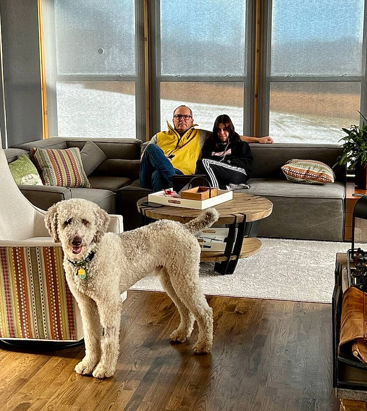 Kody is registered to the contest to win money with this photo: carnivore, chair, comfort, companion_dog, couch, dog, dog_breed, floor, flooring, furniture, houseplant, interior_design, living_room, plant, property, real_estate, studio_couch, table, window, wood